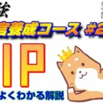 【ステサバ】【最強指揮官養成】#2 VIP攻略 -よくわかる解説-【State of Survival】【ステートオブサバイバル】