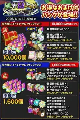 風光闇レイドCPセレクトパック