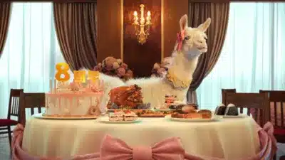 ラマと8周年ケーキ