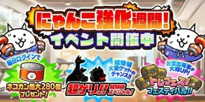 にゃんこ強化週間