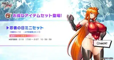 忍者の日ミニセット