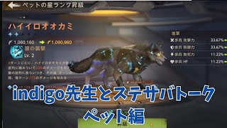 インディゴ先生とステサバ対談　ペット用品交換＆ペットスキル編