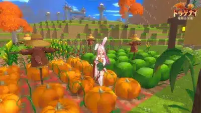 畑での料理素材栽培