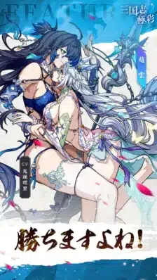 趙雲スキン