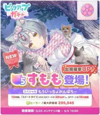 新ネコ「すもも」登場
