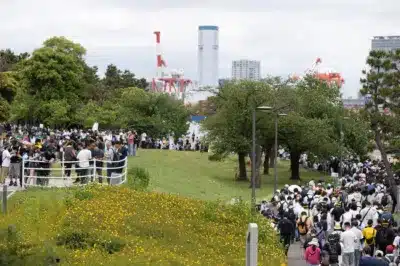 黄色い花畑に集まる人々