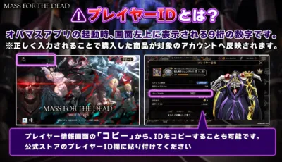 プレイヤーIDの説明