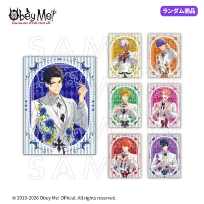 硬質カードセット