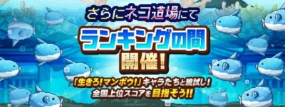 ランキングの間限定イベント